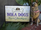Pet-friendly doggie store NOLA DOGS Treats & Boutique in New Orleans, LA
