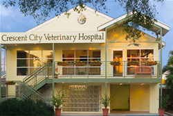 crescent city veterinary hospital