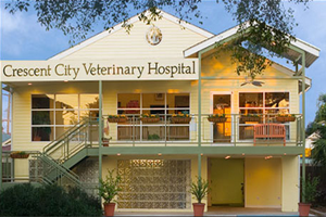 vet in New Orleans