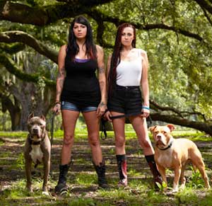 travel with dog in taos