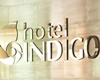 hotel indigo pet friendly hotel new orleans