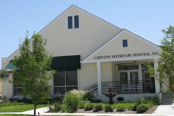 lakeview veterinary hospital pet friendly new orleans veterinarian