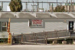 nola animal clinic pet friendly new orleans veterinarians