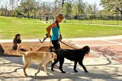 Pet-friendly NOLA City Bark Park in New Orleans, LA