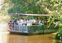 new orleans swamp boat trip
